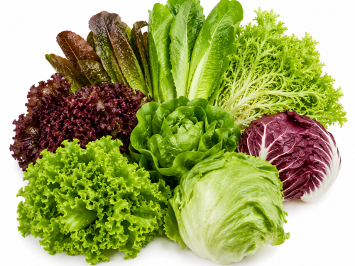 Lettuce