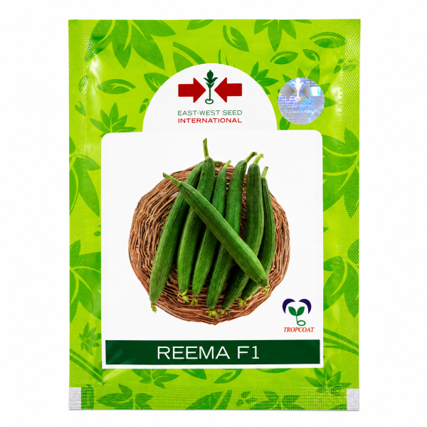 Reema F1