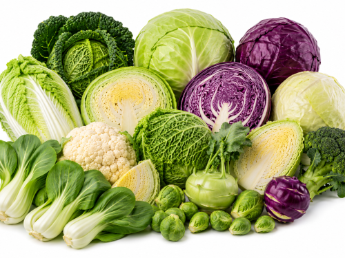 Cabbage
