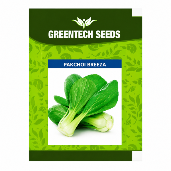 Pakchoi Breeza