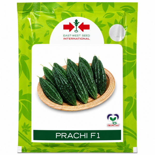 Prachi F1