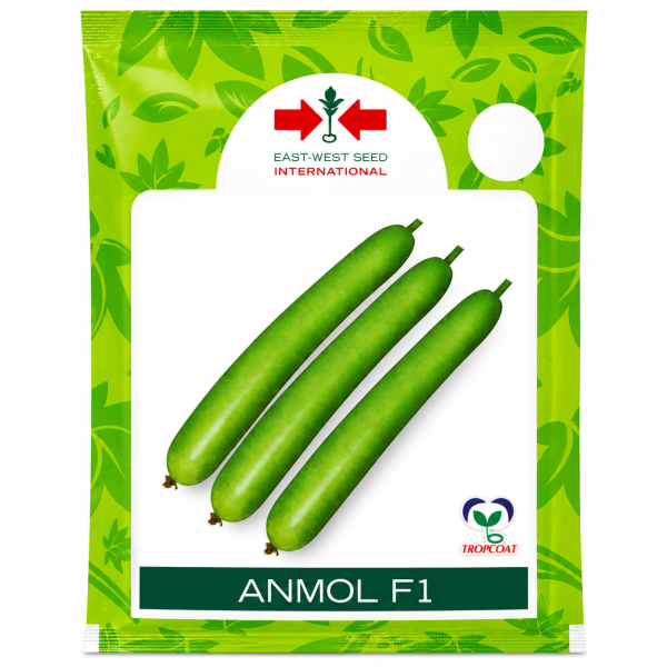 Anmol F1