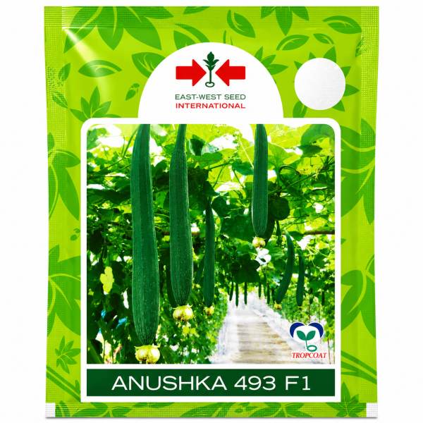 Anushka 493 F1