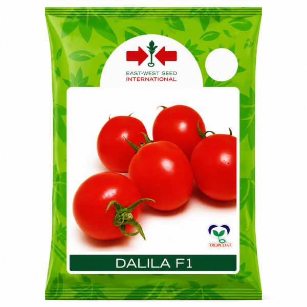 Dalila F1
