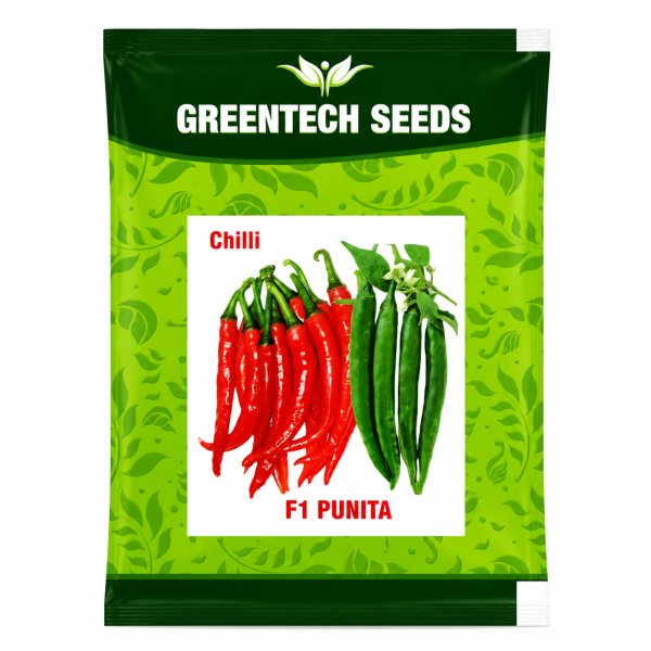 Chilli F1 Punita