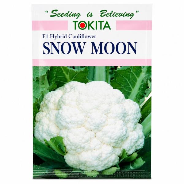 S Snow Moon