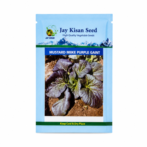 Jay_Kisan_Seed_800x800 