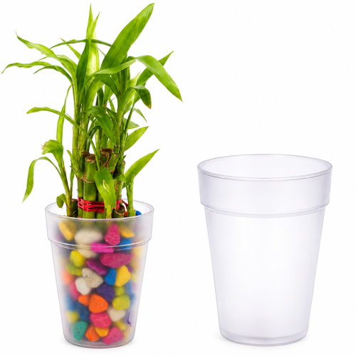 transparent_planter_800x800 